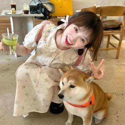 完美感觉